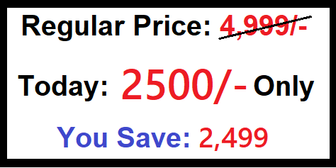 blogging training price